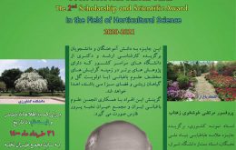 reward_khosh_02